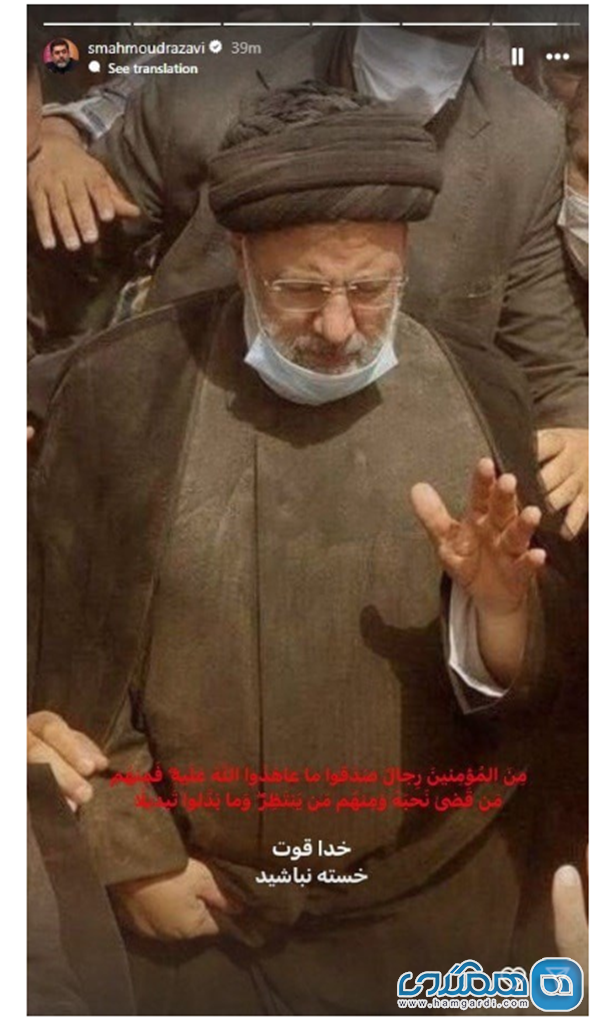 سید محمود رضوی