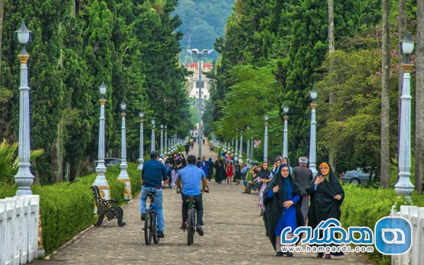 بلوار معلم رامسر؛ بلواری که جنگل را با دریا آشتی می دهد