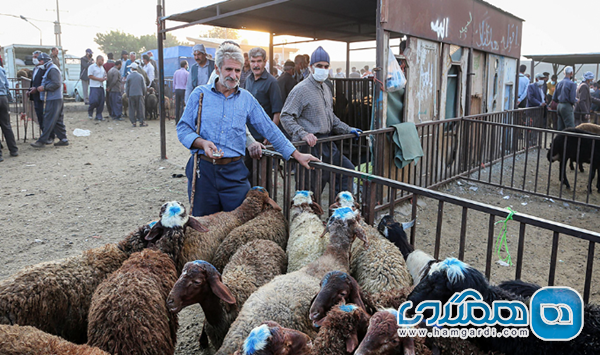 عید قربان در همدان