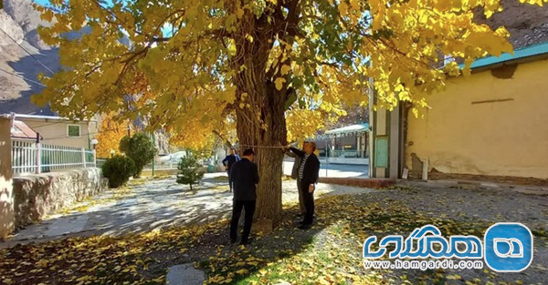 روستای حسنکدر؛ بهشتی پنهان در جاده کرج به چالوس