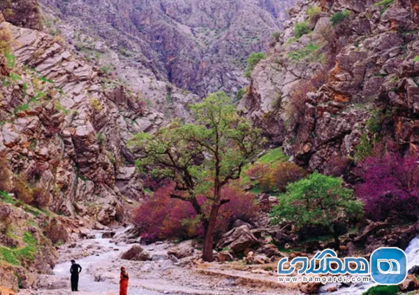 غرب ایران چه شهرها و مناطقی را در بر می گیرد؟