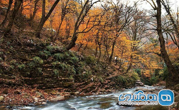 خلوت ترین زمان برای سفر به شمال ایران چه موقعی هست؟