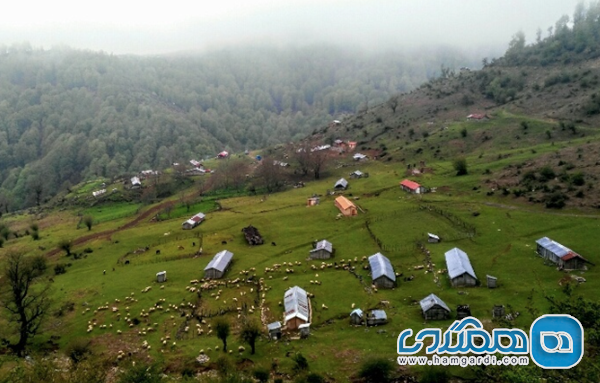 منطقه ییلاقی دشت النزه