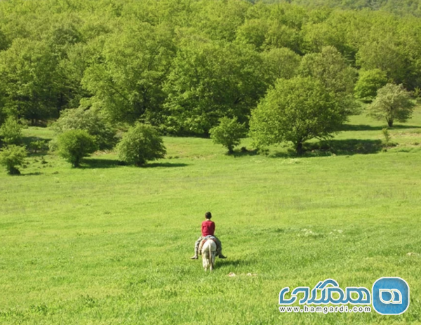 روستای درکش