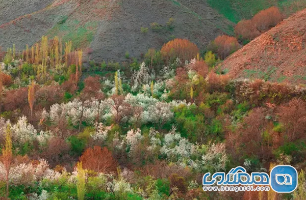 روستای دهبار