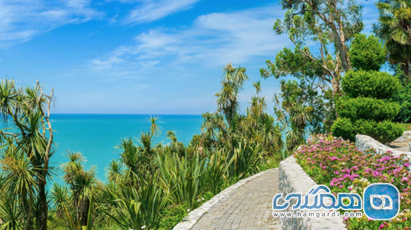 بازه قیمتی پکیج های تور در تابستان ۱۴۰۴