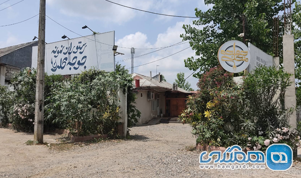 رستوران نمونه جوجه محلی 2