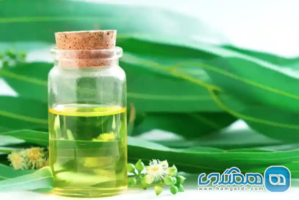 لوازم بهداشتی و دارویی: هیدراتاسیون و پیشگیری از گزش
