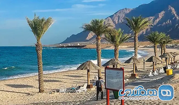 سواحل مسقط