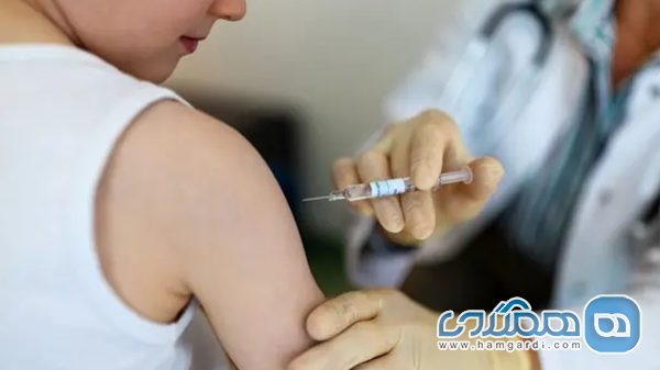 توصیه های سلامتی و ایمنی: سفری آسوده و بی خطر