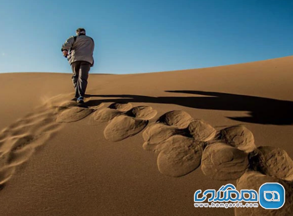 برآورد هزینه های تور کویر یزد در 1404 (تحلیل داده های بهار 1404)