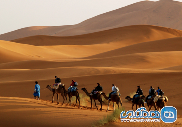 فصل طلایی: اعتدال آب و هوا در پاییز و بهار 1404