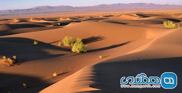 کویر کاراکال (بافق): قلب تپنده گردشگری کویر یزد