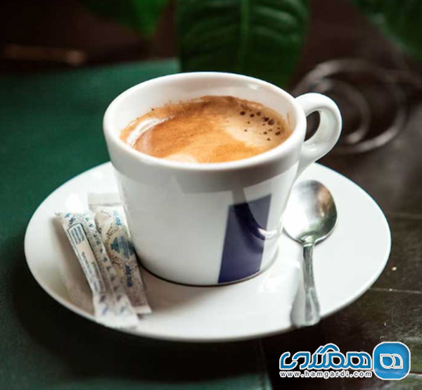 گشت و گذار کامل در منوی کافه درخت (بررسی اقلام و محدوده قیمت ها)