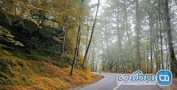 سفر اتوبوسی به رامسر در پاییز