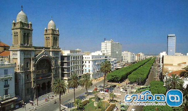 جاذبه های تونس در پاییز: جشنواره های صحرا و تاریخ مدیترانه ای