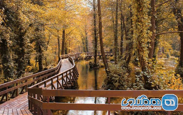 تپه های اسپرو (Sparrow Hills)