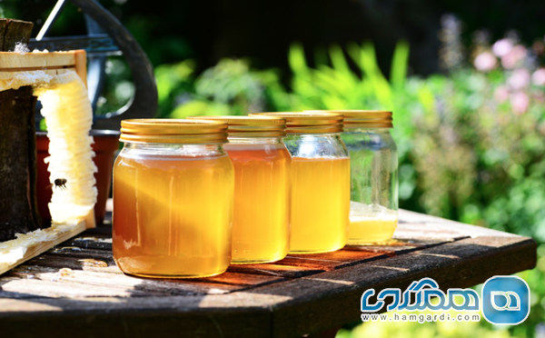 نمایشگاه عسل مسکو (Moscow Honey Exhibition)