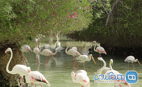 جاذبه های طبیعی