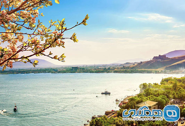 دریاچه سوان