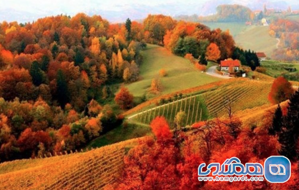 مناطق روستایی