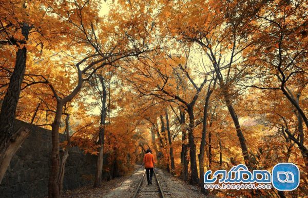 مزیت های کلیدی اقتصادی و محیطی سفر پاییزی