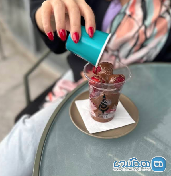 نتیجه گیری و چشم انداز آینده