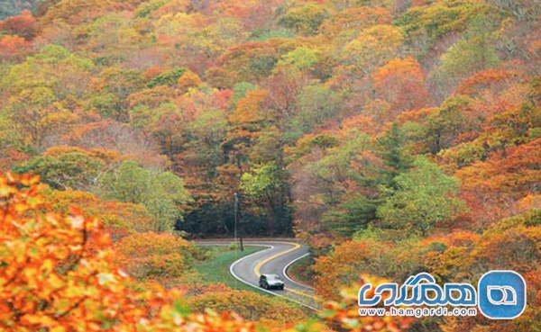 تحلیل آب و هوای باتومی در پاییز 1404: از مهر تا آذر