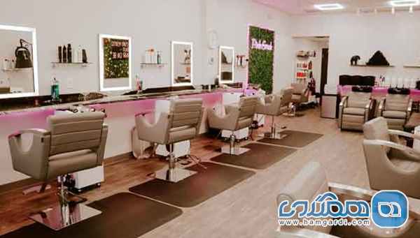 محبوب ترین ها بر مبنای تعامل کاربران در پلتفرم های آنلاین