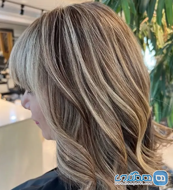 پرتقاضاترین خدمات و قیمت آنها، مهر 1404