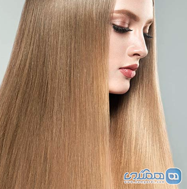 توصیه های استراتژیک برای رقبا و سرمایه گذاران