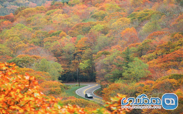 تور تفلیس در پاییز ۱۴۰۴