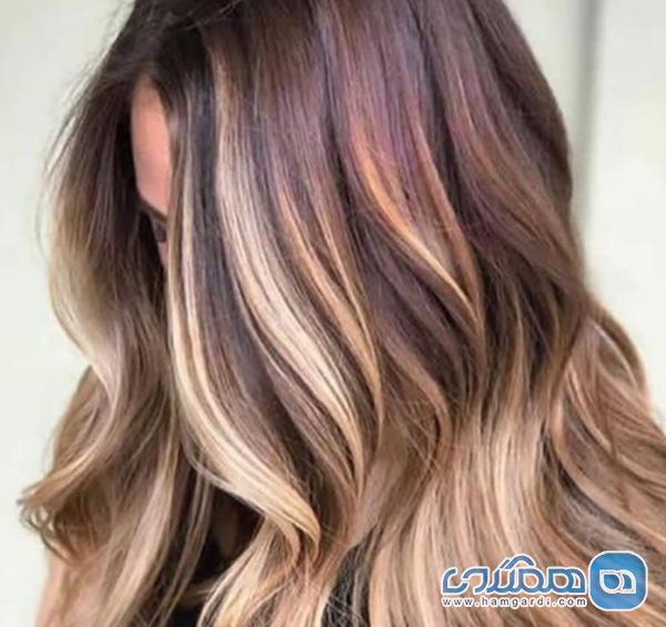 خدمات تخصصی پیشتاز و ترندهای زیبایی در سال ۱۴۰۴