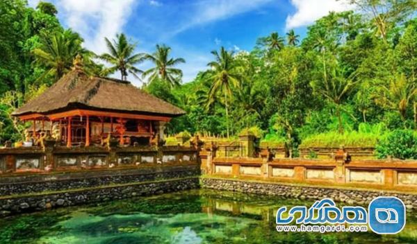 هزینه های تور بالی در بازار ایران