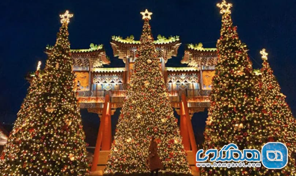 پیش بینی استراتژیک قیمت تور کریسمس و ژانویه ۲۰۲۶