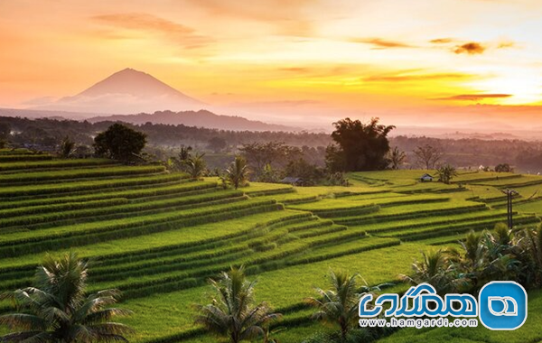 نتیجه گیری و توصیه های استراتژیک