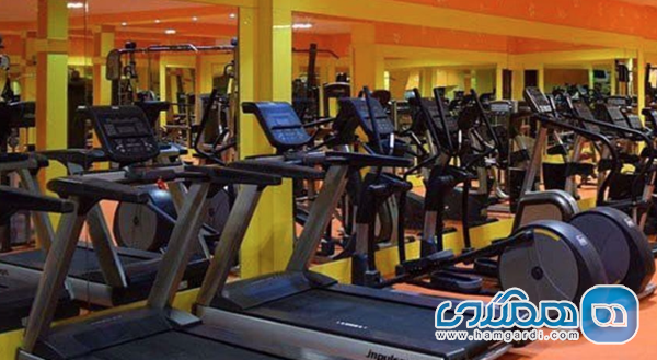 اصول ارزیابی: ۷ معیار کلیدی در انتخاب باشگاه بدنسازی پرمیوم بانوان