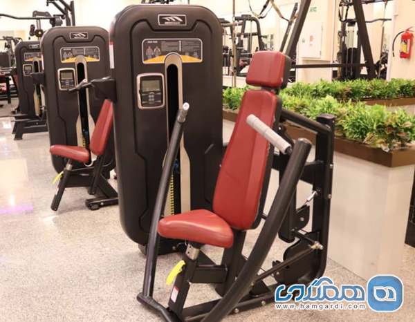 باشگاه سینرژی: پرچمدار EMS