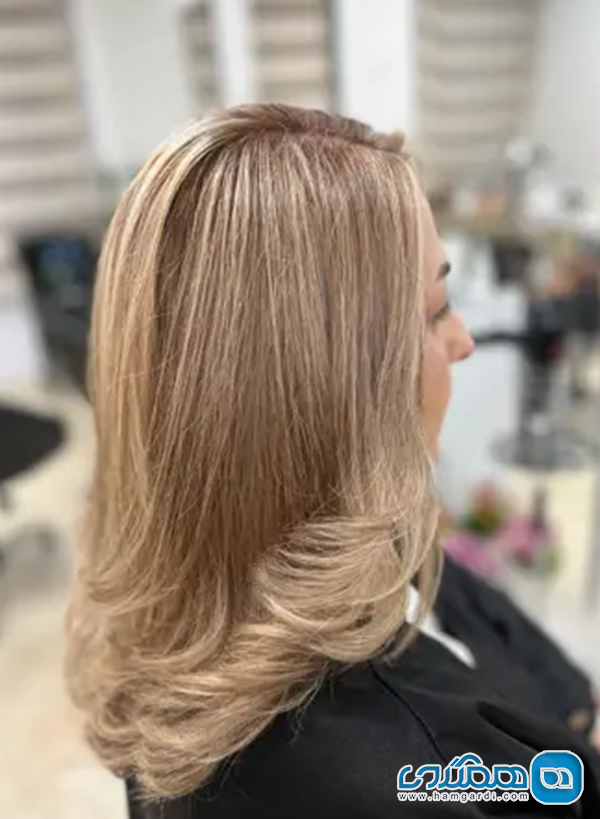 مدیریت هزینه ها: تحلیل قیمت گذاری رنگ و لایت در یوسف آباد (1404)