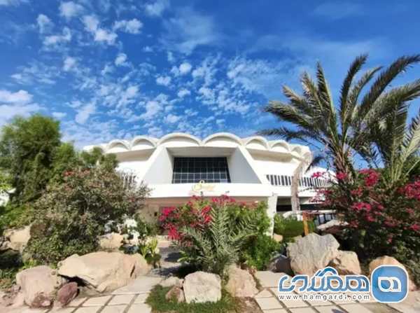 گزینه های میان رده (۴ و ۳ ستاره)