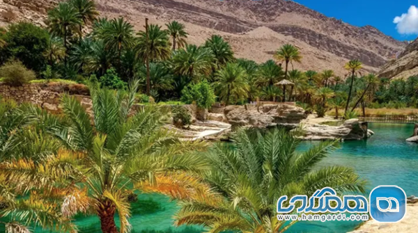 بهترین جاذبه های گردشگری عمان مناسب سفر در آذرماه: تمرکز بر تجربه های بیرونی