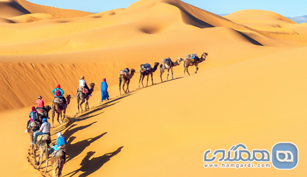 مناطق جنوبی و صحرا (ارگ چبی)