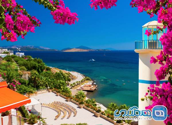 کشف ابعاد پنهان بدروم در فصل زمستان