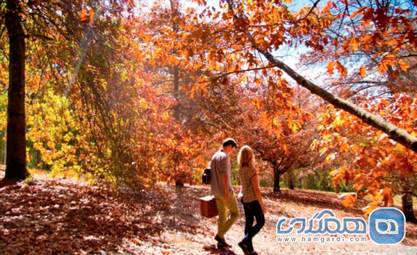 راهنمای عملی سفر در مارس ۲۰۲۶: آب و هوا و آمادگی