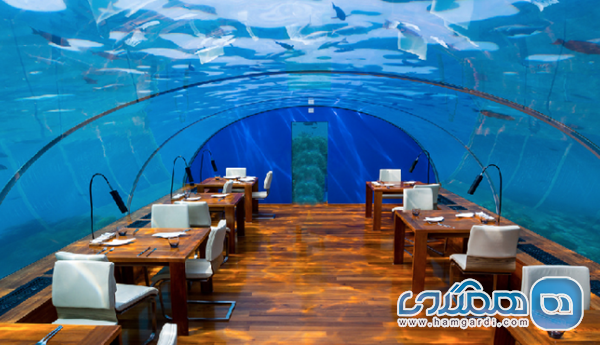 ترندهای رستوران گردی و شکم گردی لوکس در مجمع الجزایر