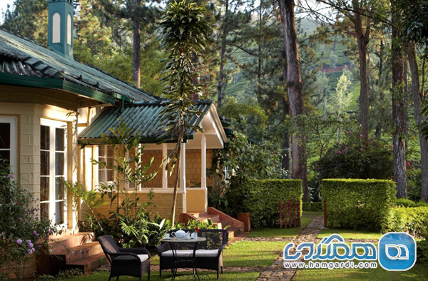 سیلان تی تریلز (Ceylon Tea Trails)