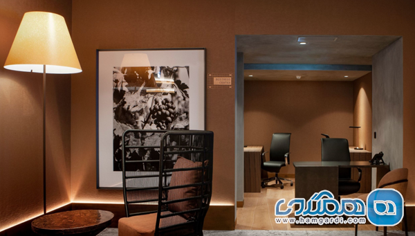 تجربه نوشیدنی و طبیعت