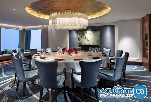 انقلابی در شکم گردی و تکنولوژی