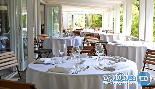 کالبدشکافی گاسترونومیک: از رستوران های میشلن تا فرهنگ غذاهای خیابانی