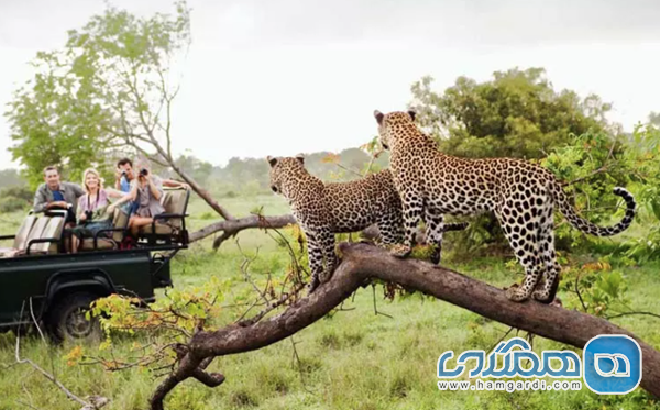 جذابیت های فصلی آفریقای جنوبی در نوروز